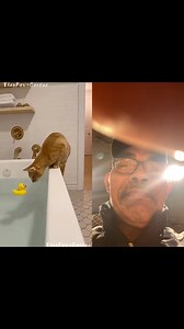 Azir Ramac Camar on Reels