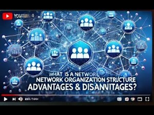 What is a Network Organization Structure? | Advantages & Disadvantages