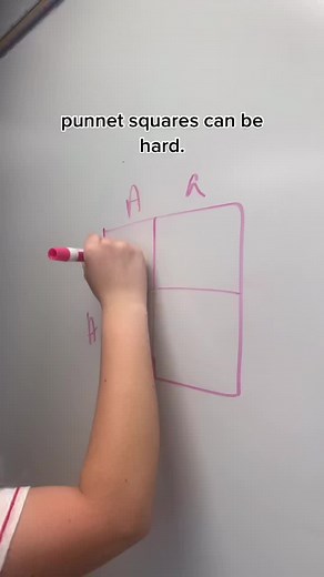Understanding Dihybrid Crosses in Biology: Explained