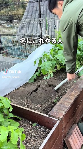 冬の土作りで夏野菜が育てやすくなる方法