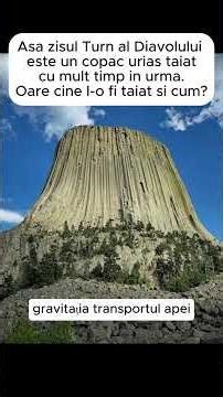 Asa zisul Turn al Diavolului este un copac urias