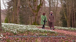Here’s our trailer for this week’s episode of Songs of Praise. Katherine Jenkins explores the ruins of Reading Abbey in Royal Berkshire, once one of Europe’s finest churches, and Kate Bottley discovers the deep Christian symbolism of snowdrops. #songsofpraise Sunday 2nd February on @BBC One at 1.15pm and afterwards here https://bbc.in/37jXsEp | BBC Songs of Praise