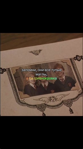 Филч, он же Аргус Филч (Argus Filch) — это завхоз и смотритель в Школе Чародейства и Волшебства Хогвартс из вселенной «Гарри Поттера». Он является сквибом — человеком, рождённым в семье волшебников, но не обладающим магическими способностями, что делает его озлобленным и он недолюбливает учеников, у которых магия есть. Филч предан Дамблдору, рачительный хозяин, а его верная спутница — кошка Миссис Норрис. Ключевые факты о Филче: Профессия: Завхоз Хогвартса, отвечает за порядок и чистоту. Особенн