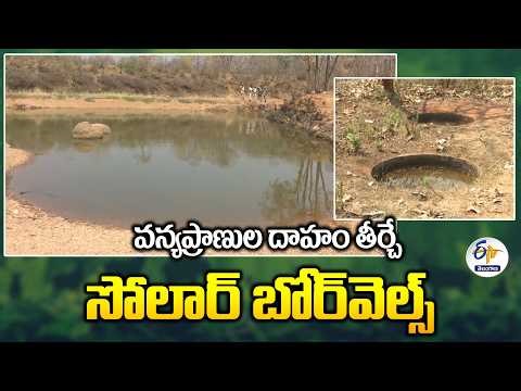 Forest Dept Saves Wildlife | Solar Borewells Quench Wildlife Thirst in Nizamabad
