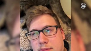 Breed All About It: Tabbies