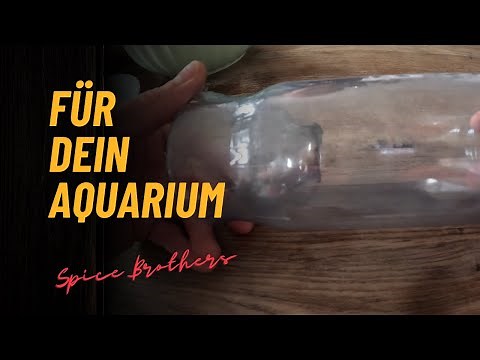 Die perfekte Fischreuse schnell und einfach selber machen 🐟