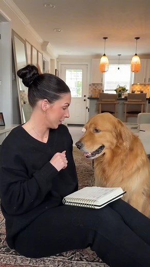 Help us name the next service dog 💛 | Wally Dog
