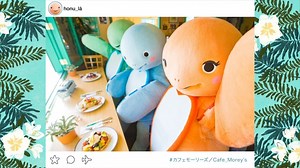 ＼ANA HAWAii 🐢オリジナル動画／ 明日は、2回目の ANA FLYING HONUチャーターフライトです✈️🌈 その前に、皆さまに動画でハワイ気分をお届けします🌴 機窓から撮影したチャーターフライトの様子を、明日(20日)の夜にお届けする予定です🎵ぜひ、お楽しみに！ 皆さまと機内でお会いできるのを楽しみにしております😊“A hui hou” | ANA.Japan