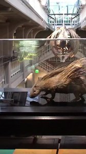 We went down to Manchester Museum ahead of their reopening 😍 #manchestermuseum #manchester | Manchester Evening News