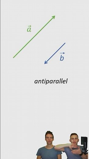 Kollineare Vektoren - parallel und antiparallel anschaulich erklärt