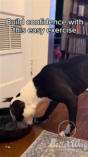 Approach avoidance conflict & easy confidence building