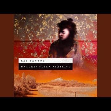 Chirps Over Fast Stream