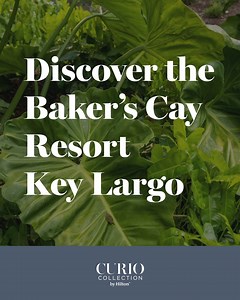 1.5K views · 53 reactions | Discover the Baker's Cay Resort Key Largo in Florida. Only here can you participate in a sustainable fishing experience that takes your catch from "dock to dish" in beautiful Key Largo. #areyoucurious #curiocollection | Curio Collection by Hilton | Facebook