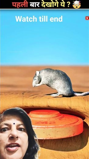 When mouse step on mine #facts #amazingfacts #viralvideo #reallifehacks