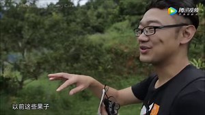 10K views · 194 reactions | 用方言介绍槟城热带水果园 Penang Tropical Fruit Farm...