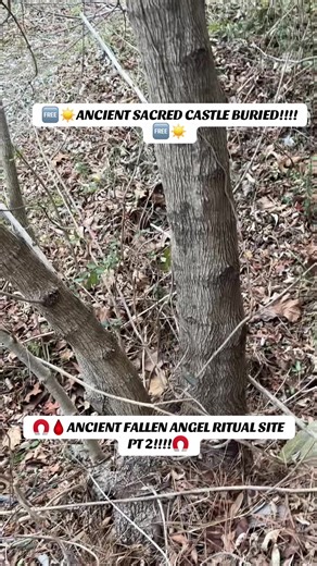 ⨀ 13 LOVE 13 LIFE 13 DEATH 13 WORSHIP 13 PRAISE 13 KNOWLEDGE 13 COURAGE 13 WISDOM 13 RA-SPECT YOUNIVERSE 13 MOTHER EARTH 13 PEACE 13 CHAOS 13 SOL 13 ALCHEMY 13 ASTROLOGY 13 LIBERATION 13 CELEBRATION 13 DIVINITY 13 GODBODY 13 VOID 13 INSPIRATION 13 NETERU 13 NETER 13 ACCOUNTABILITY 13 PERSEVERANCE 13 EXPRESSION 13 DIVINATION 13 GEOMANCY 13 HEALING 13 COSMIC CHAOS 13 GEMATRIA 13 CENTER POINT 13 WOMB ⨀ 🆓☀️🆓☀️ 13 DIVINITY 13 GODHEAD 13 13 ⚖️ “YOU GOT THE WHOLE WORLD IN YOUR HANDS” ETERNAL WOMB “IF