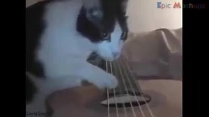 76K views · 1.7K reactions | Interesting Things on Reels | Facebook