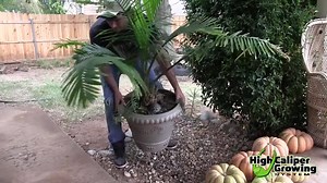 46K views · 159 reactions | Using Smart Pots is so simple! They're reusable and easy to store for the next time. Read: https://goo.gl/2Lj1As #GrowGoodThings | Smart Pots | Facebook