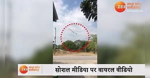 Flying Snake Video Cobra snake jumped roof of house udne wala saap see Viral Video mpsn | Flying Snake Video: उड़ने की कोशिश में घर की छत से कूदा कोबरा सांप, देखिए फिर क्या हुआ Viral Video | Zee News Hindi