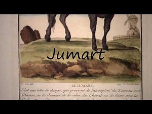 How to Pronounce Jumart?
