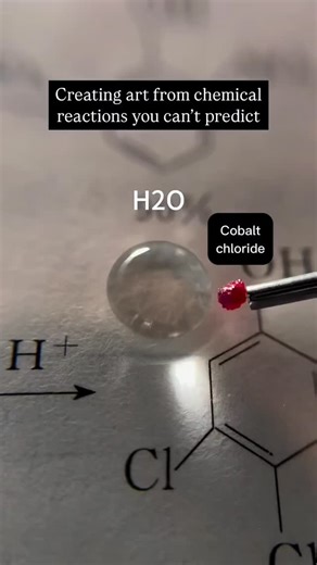 Art Crafts Diy on Instagram: "Chemistry, but make it art. 💧🧪 What you’re seeing isn’t CGI — it’s pure reaction magic. Inside a single drop of water, creates entire worlds using chemical reactions — colors collide, swirl, and bloom like living art. Via: yu3375349136 (Döuyin) Music: Piccola Bella Cosa 🎶 By @maxwell.j.fox #creative #artist #Artwork"