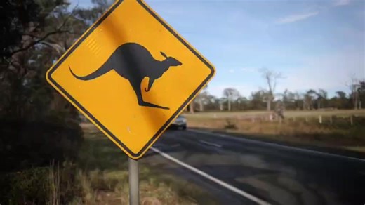 2.9K views · 51 reactions |  Spring into Wildlife Awareness Spring...