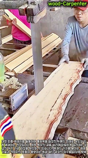 원목 제재 가공 현장 쾌감 정밀 켜기 작업 #worker #process #woodworking #craftsman #sawmill #lumber #timber