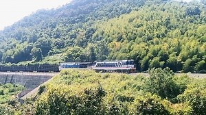 【起猛了！调机当干线货机了！】金温新调机DF12 0387在乐清湾线试运转拉货