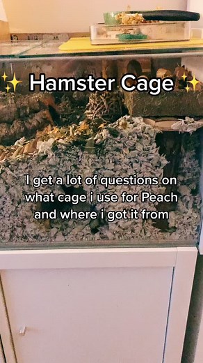 Ikea detolf MVP #hamstercage #hamstercare #hamster #hamsters #hamstersoftiktok #detolfhamstercage #fyp #hamster🐹