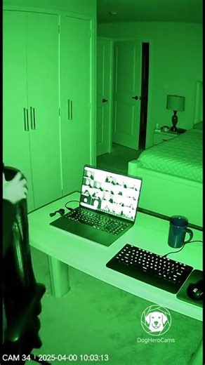 My Dog Crashed My Video Call to Lick My Ear. | WFH CCTV Fail 🎧🐕 #shorts