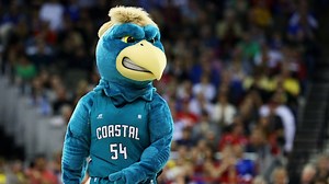 What In The Heck Is a Chanticleer?