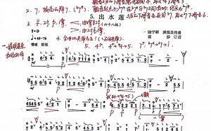 李晶直播精讲解析袁莎教授课程出水莲