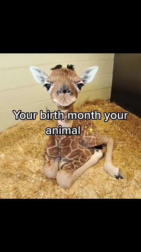 random.content69_1 on TikTok