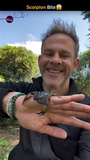 Scorpion Myths Busted!