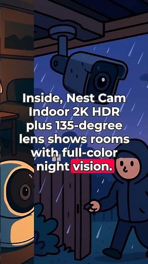 Surprised by Nest Gemini Cameras