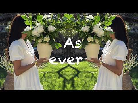 Meghan Sussex As ever The Garden Tea Bloom Box