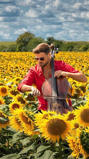 Video no 10 from my new album CLASSIC II is out!🎻 Pathétique Sonata by Beethoven ❤️ Full video on my YouTube channel! #hausermusic #hausercello #classic #music | HAUSER