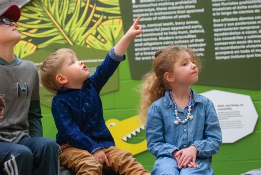 Springfield Science Museum opens new exhibit, first step in overhaul of dinosaur experience 