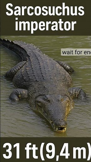 Top 5 Biggest Reptiles on Earth 🌍 #MegaReptiles