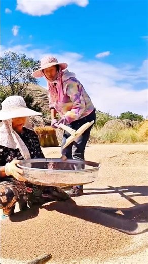 Traditional Grain Sieving Process with a Sieve #shorts