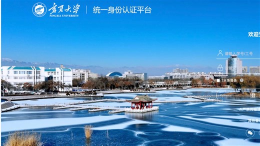 Better NXU｜让宁夏大学 WebVPN / 教务系统 / 知网万方体验起飞的用户脚本🚀