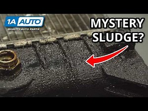 Oil Seeps Turn Into Leaks: Find Them Under the Hood of Your Car or Truck and Replace Impacted Parts!