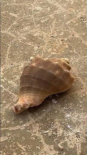 Casting aluminum at home: Unique Casting From Scrap #shorts #viralvideo #art #restoration