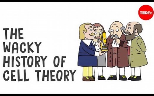【Ted-ED】细胞理论的怪异历史 The Wacky History Of Cell Theory