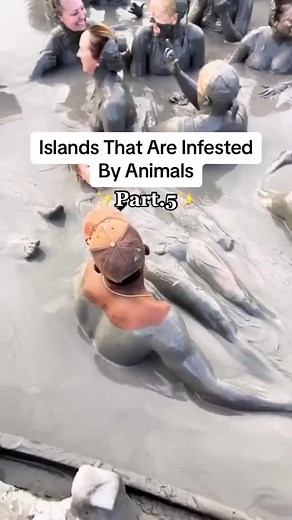 Islands That Are Infested By Animals😳🌏 #interesting #islands #fyp