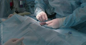 A veterinary surgeon operates on an animal with a broken limb. The surgeon makes an incision in the pet's skin under general anesthesia to begin surgery on a limb with a broken bone.