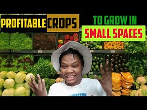 See Big Profits You Can Make on These 5 Crops |Small Scale Farming