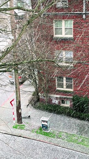 Embracing the Magic of Seattle's First Snowstorm in 2024! ❄️✨ #SeattleSnowstorm #WinterWonderland #HolaSeattle #SnowDayVibes #LetItSnow #seattle