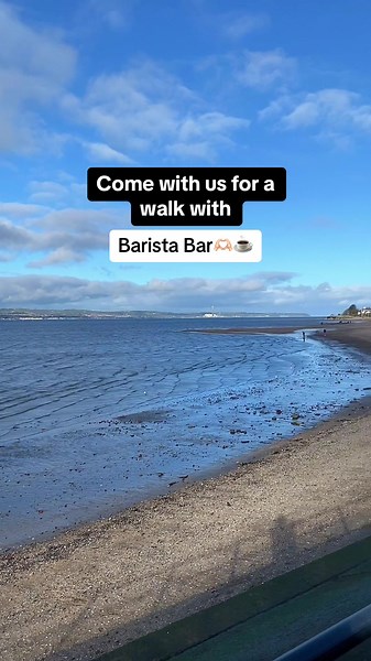 Track Your Nearest Barista Bar with Rewards  App