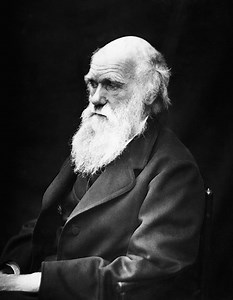 New BBC Video: “Charles Darwin’s theory of evolution explained”